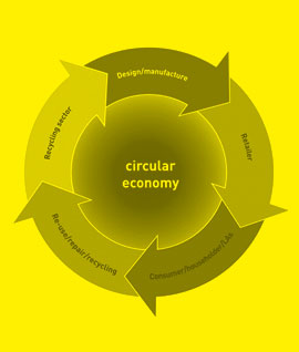 La economia circular y el nuevo mundo